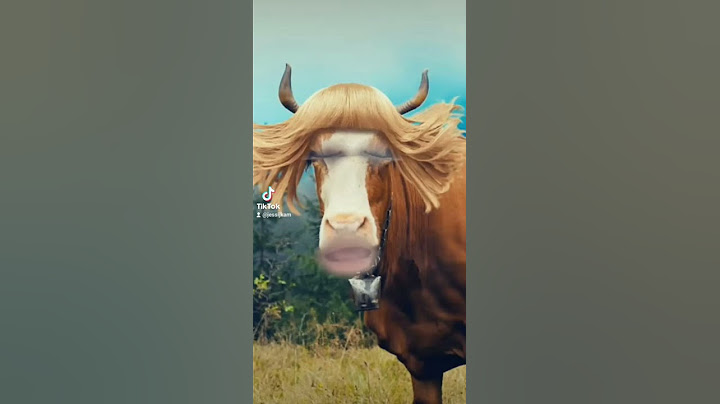 la vaca Lola según mi hijo