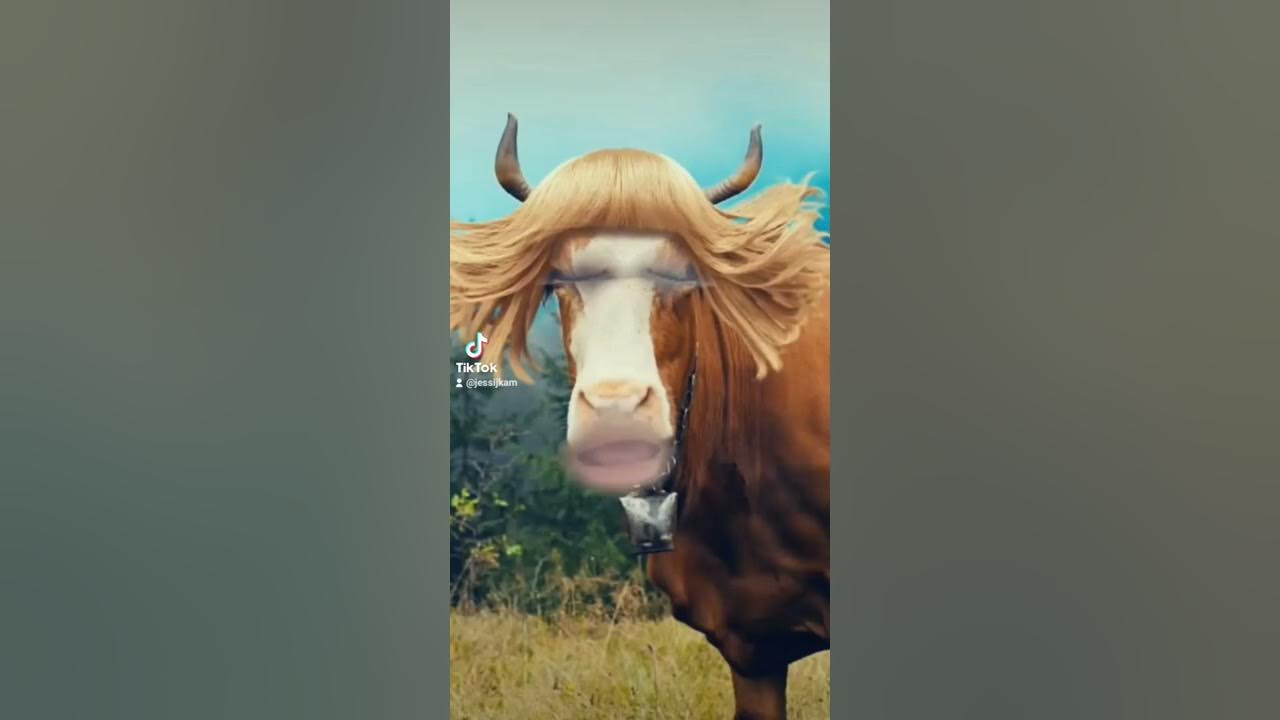 la vaca Lola según mi hijo