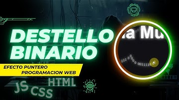 Efecto Destello de Números Binarios | Tu Primer Proyecto de Programación Web Dinámica🧑🏽‍💻