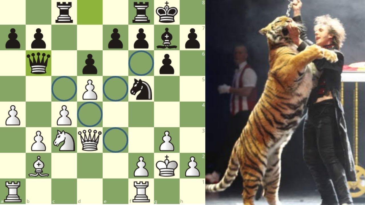 partidas inmortales ajedrez youtube ¿PUEDE UN MAGO DOMAR A UN TIGRE? (duelo legendario): Tal vs Anand (Cannes, 1989)