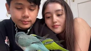 Live My LoveBirds Rara with Rudolf Rubbie ❤️🕊️ #RaynWijaya #RantyMaria #RaynRanty