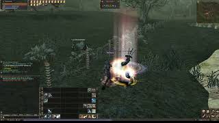 Cleric lvl 22 Execution Ground  (upper part).   /Lineage 2 Reborn. Signature. Teon C5. screenshot 5
