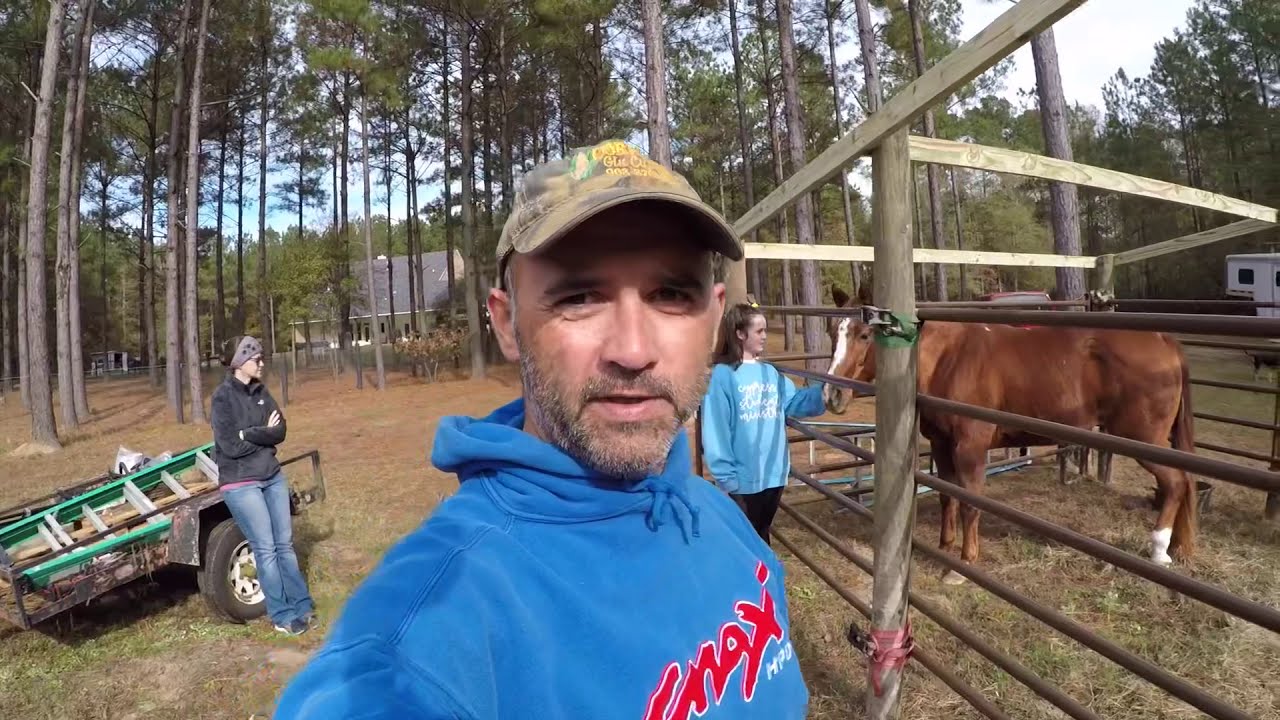 DIY Horse Shelter (Temporary) for a Lame Horse.  Loafing Shed on the cheap.