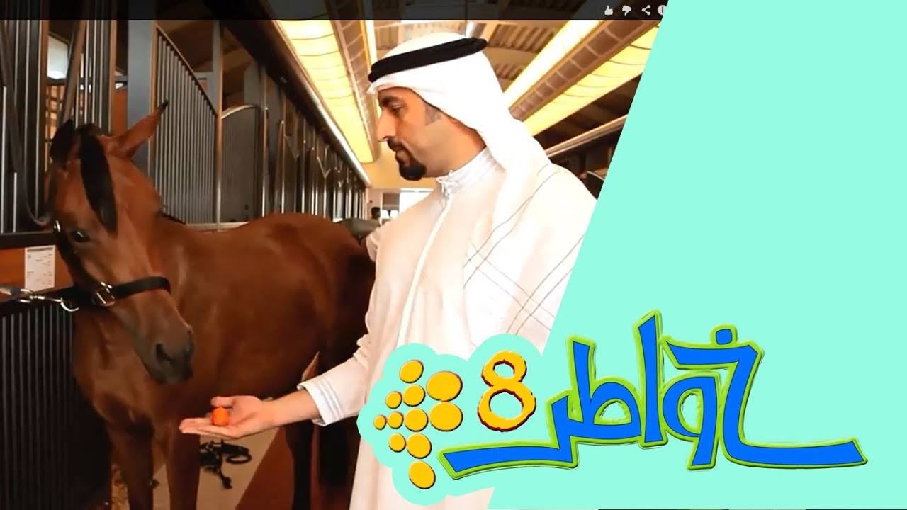 خواطر 8 | الحلقة 26 - مؤسسة قطر