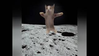 кот шни шни шнапи танцует на планетах #мемы #коты #планеты