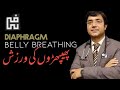 Belly breathing  breathing exercises urdu  hindi  dr amdad faruqi