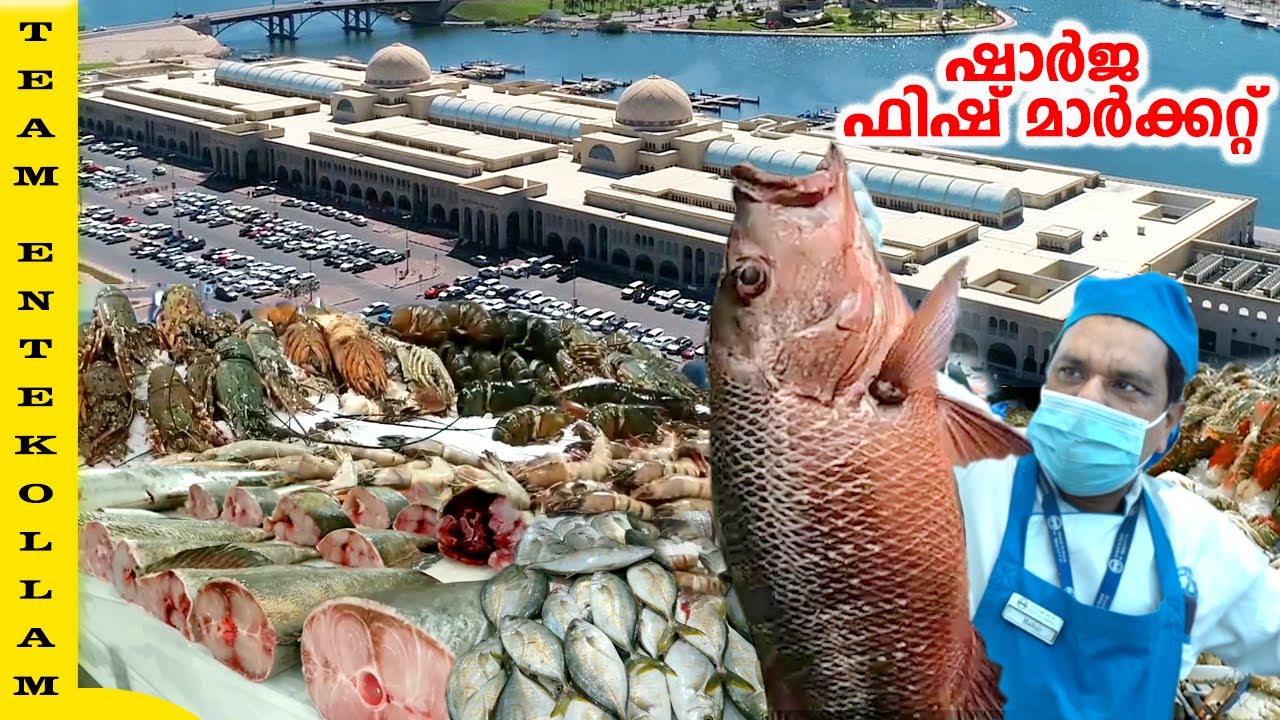 ഇതിലും വൃത്തിയുള്ള ഫിഷ് മാർക്കറ്റ്..... മാത്രം " Sharjah Jubail Fish