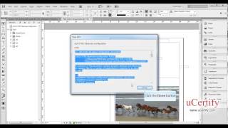 Adobe InDesign CS6 how to validate a document against an imported DTD demo