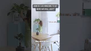 HOW DO I USE WINDOWS TO GET MORE NATURAL LIGHT? TAMPA GENERAL CONTRACTOR ANSWERS!