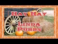 Hay hay linda purrs podcast with dean maser