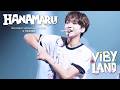 VIBY 'HANAMARU' | VIBY DEBUT SHOWCASE 『VIBY LAND』at 日本武道館 | 260831