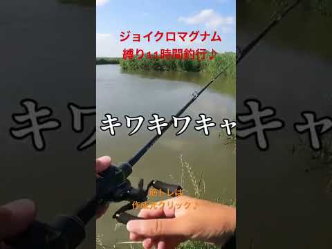 バス釣りジョイクロマグナム縛りが過酷すぎたw#バス釣り#ビッグベイト#犬鳴川