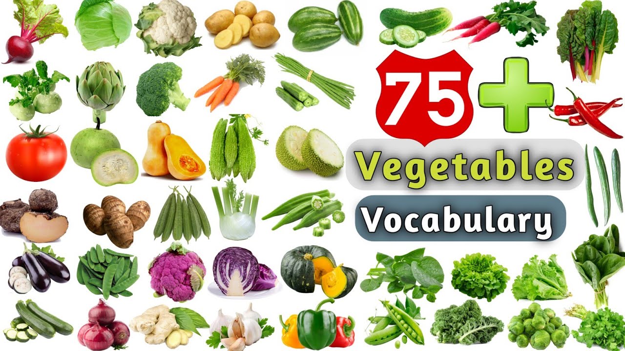 Vegetables Vocabulary ll 75+ Vegetables Name in English ll List of Vegetables YouTube