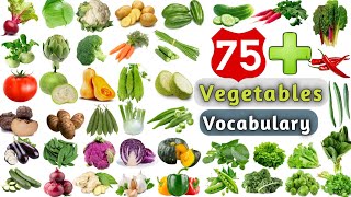 Vegetables Vocabulary ll 75  Vegetables Name in English ll List of Vegetables