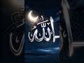 Islamic Calligraphy Art