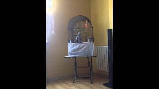 Coca Cola Reklamı Özcan Deniz Uuaaaççhh Bi Cocacola