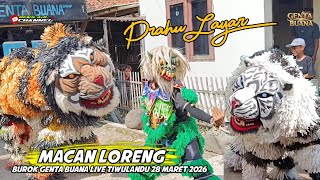 Aksi Macan - Prahu Layar - Burok Genta Buana Terbaru Live Tiwulandu Banjarharjo Brebes 28 Maret 2026