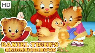 Daniel Tiger - My Baby Sister Is The Best Videos For Kids