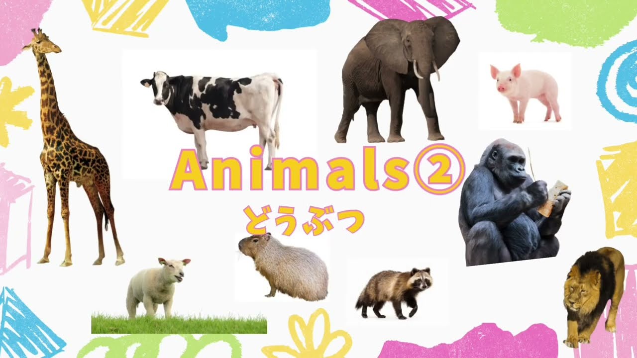 【はじめてのどうぶつ②英語】★知育アニメ★なんてなまえかな？first japanese lesson animalsきの学習塾