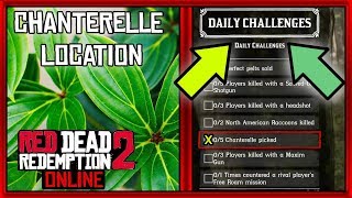 Chanterelle Location RDR2 Online How to find Chanterelle in RDR2 Online