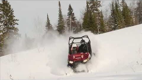 Polaris RZR/SnoCobra Ski System