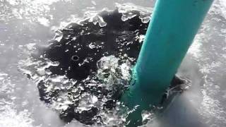 This aerator works on solar or electric. it pumps oxygen into the pond
year-round even when is frozen over. uses venturi principle to s...