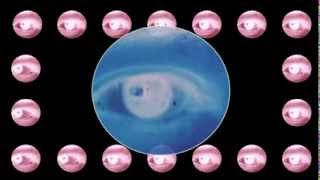 Sokoi "Ji" Maintenance