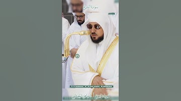 تلاوة خاشعة 🕊 سورة الشرح 🌿 الشيخ أ.د ماهر بن حمد المعيقلي