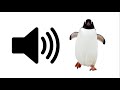 Penguin  sound effect  prosounds