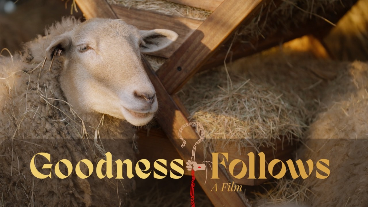 Goodness Follows - A Film