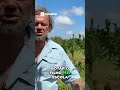 O Que Realmente Salvou o Pirarucu? A Verdade Sobre Conservação na Amazônia