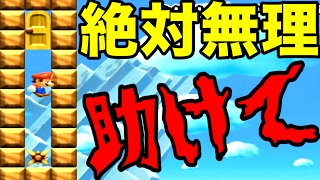 スピードランと全自動マリオの合体ステージが凄すぎる！【マリオメーカー実況】