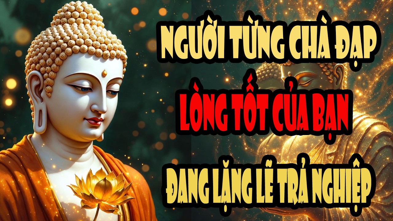 Người Từng Chà Đạp Lòng Tốt Của Bạn Đang Lặng Lẽ Trả Nghiệp – Phật Khuyên Tha Thứ Để Tâm An