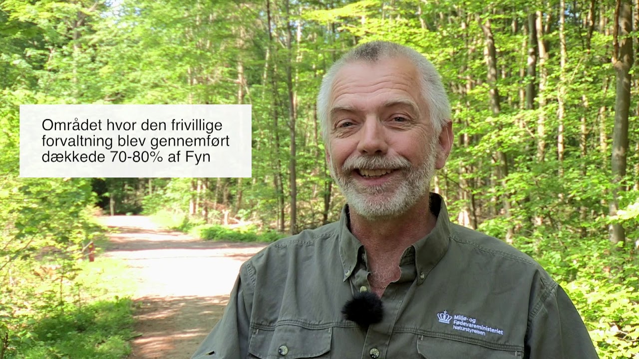 Dåvildt på Fyn - Lars Erlandsen Brun fortæller om dåvildtet og dets forvaltning på Fyn