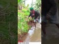 Vichekesho Neli Na Njeli 4 Vichekesho Neli Na Njeli 4