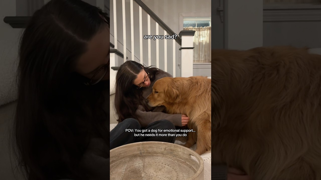 Turns Out I’m His Emotional Support Human