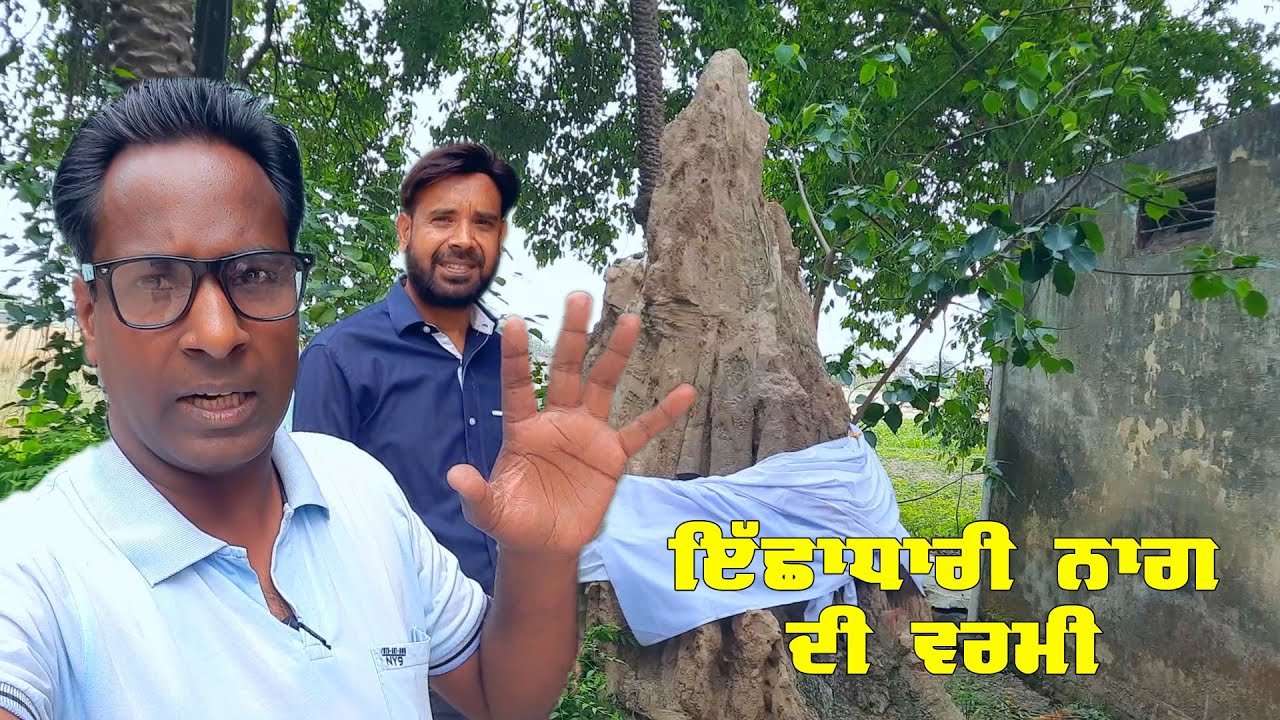 Isha Dhari Nag Nagin Di Varmi Is Pind Ch | Nag Nagin Mandir Sidhi Miri Sadhu Chak | DPC Punjabi
