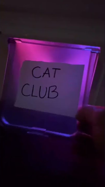 Çat club! #viral #catshorts  #shorts #cats #catclub