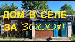 Дом в селе за 3000 $ 60 соток земли / Винницкая область ,Украина.