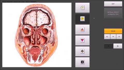 Video  Biophilia excelent  2 C Tracking X2  17 minutos