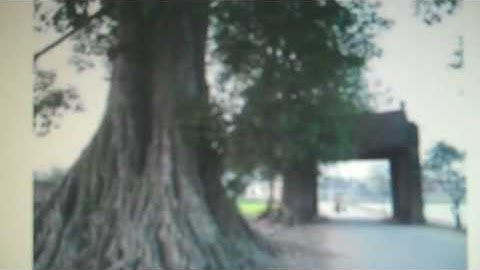 javascript opentheFlip();