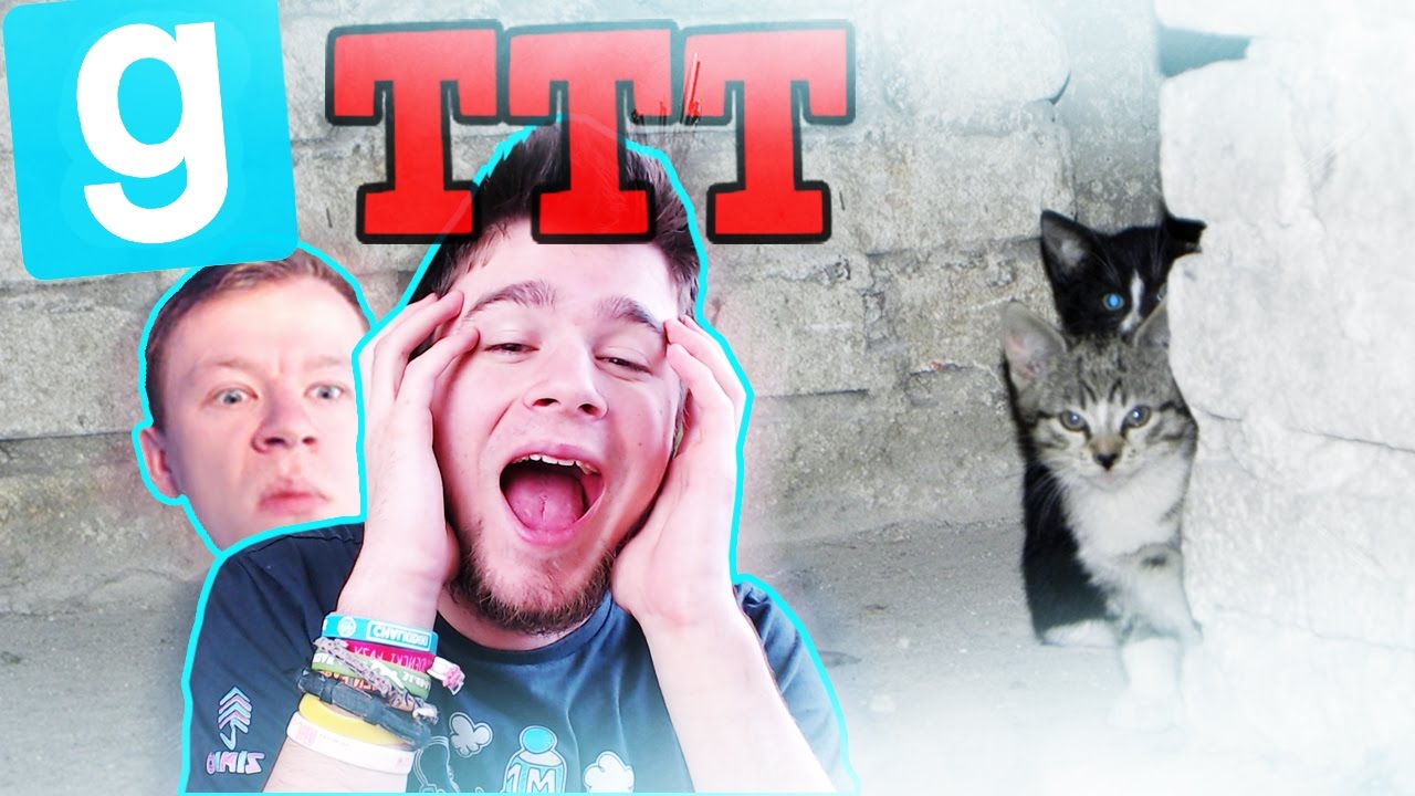 KOTKI W PIWNICY! | Garry's mod (W: Plaga, Diabeuu, Paveł, Admiros, Flothar) #461 - TTT [#64] #Bladii