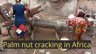 Neglected Million Dollar Business || PALM NUT CRACKING  #industry #Africa  #production #HowTo