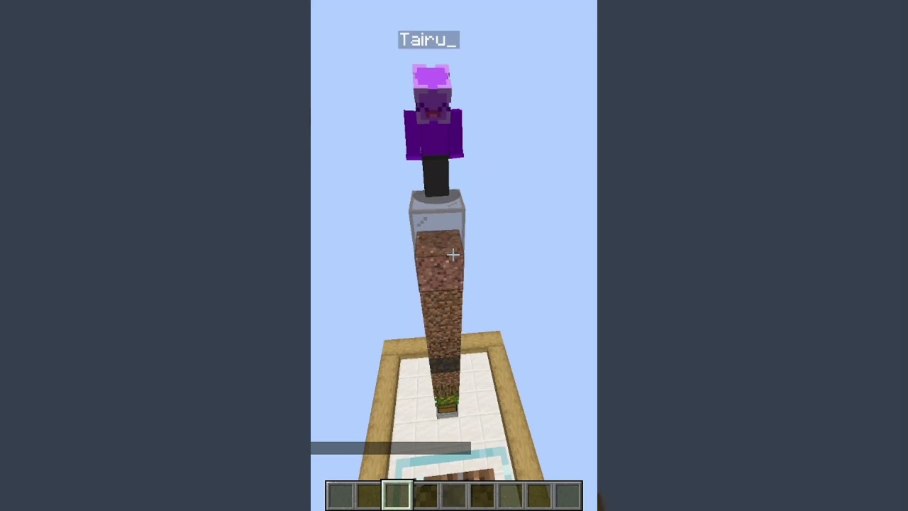 MINECRAFT BLOCK TELEPATHY 🤯 