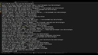 How to use the grep command in Linux