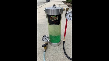 Tree Injection Solutions Palm Tree