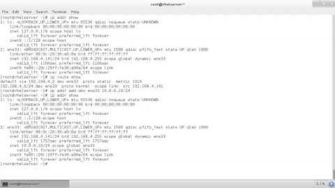 Lesson 9: Managing NIC Configuration with the IP Command (Part-3)