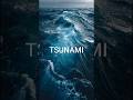 🌊Tsunami