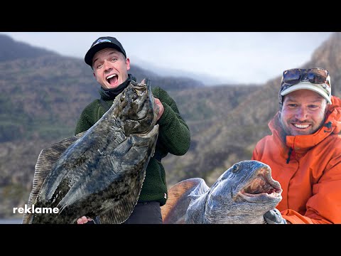 Video: Hvor er helleflynders øjne?