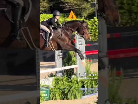 Il A Fait Tellement Froid En Floride 